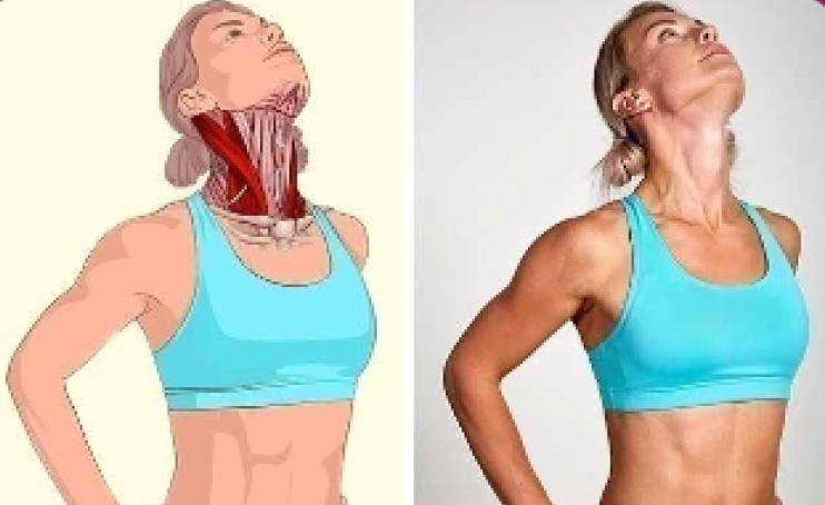 ejercicio de estiramiento