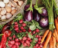 alimentos para evitar la desnutrición