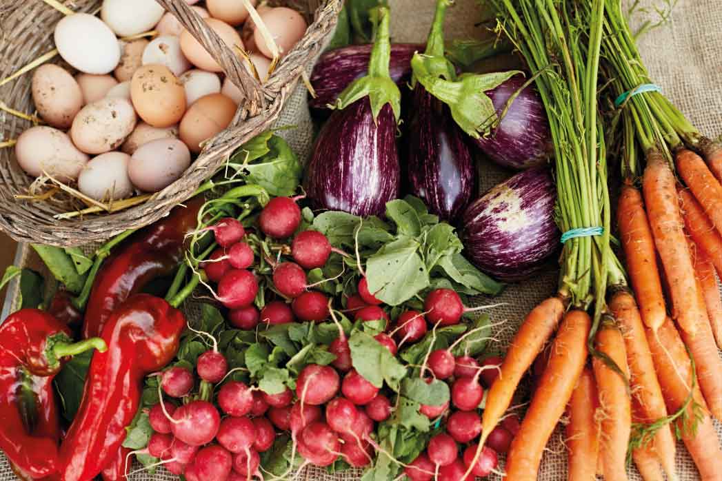 alimentos para evitar la desnutrición