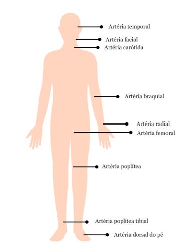 puntos para medir la frecuencia cardiaca