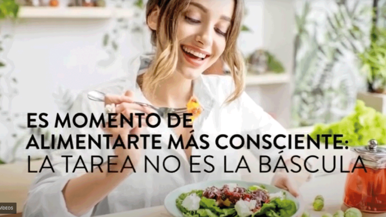 alimentos
