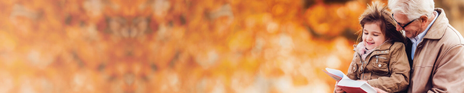  Img Alt - Mobile header 